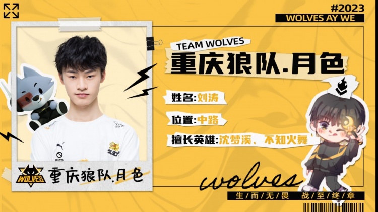 金流与资本 金流与资本